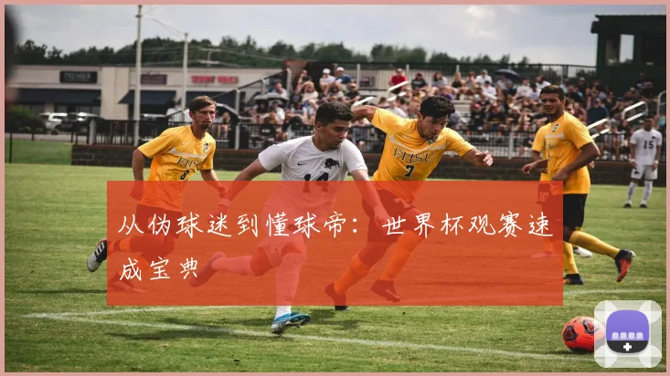 从伪球迷到懂球帝:世界杯观赛速成宝典