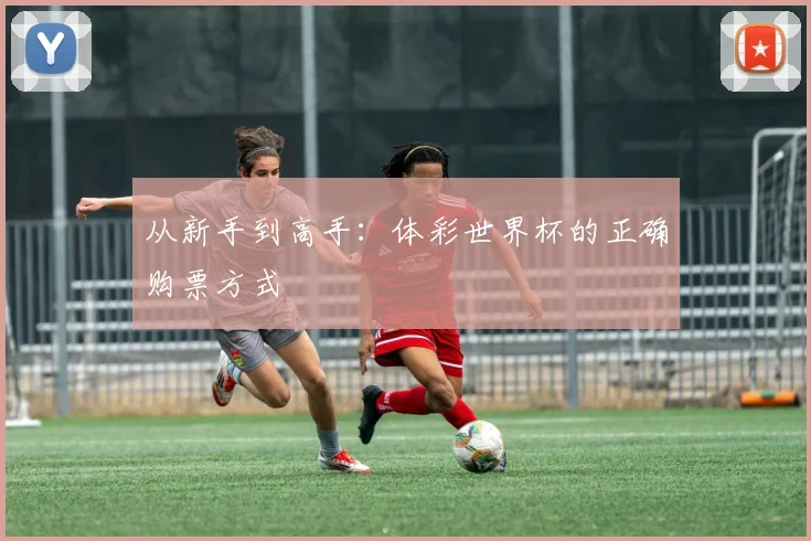 从新手到高手:体彩世界杯的正确购票方式