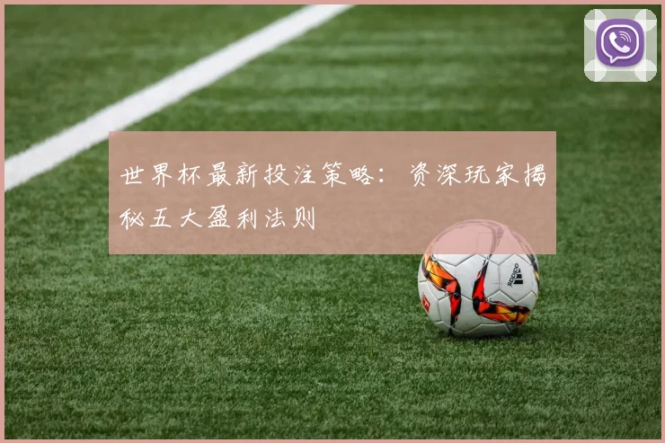 世界杯最新投注策略:资深玩家揭秘五大盈利法则