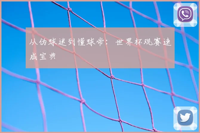 从伪球迷到懂球帝:世界杯观赛速成宝典