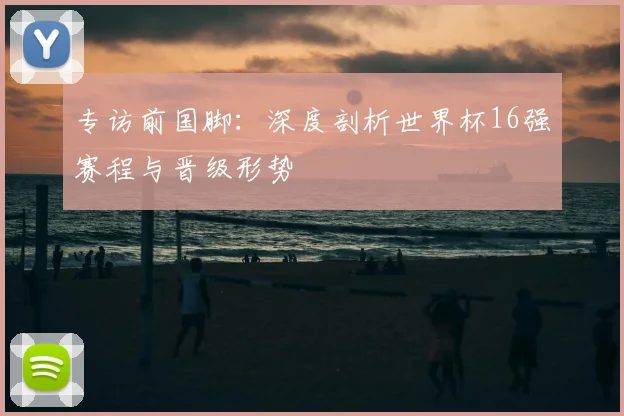 专访前国脚:深度剖析世界杯16强赛程与晋级形势