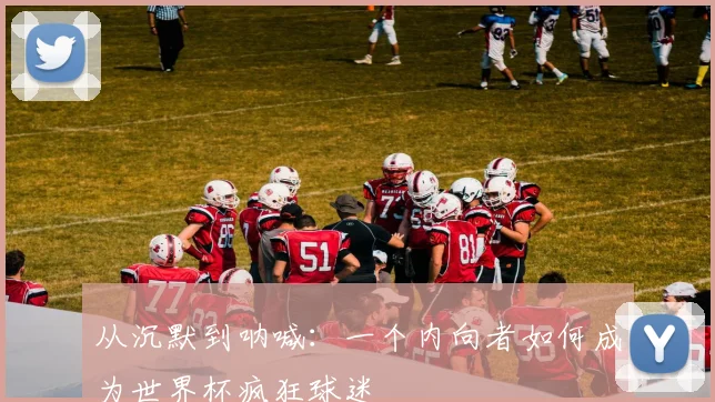 从沉默到呐喊:一个内向者如何成为世界杯疯狂球迷