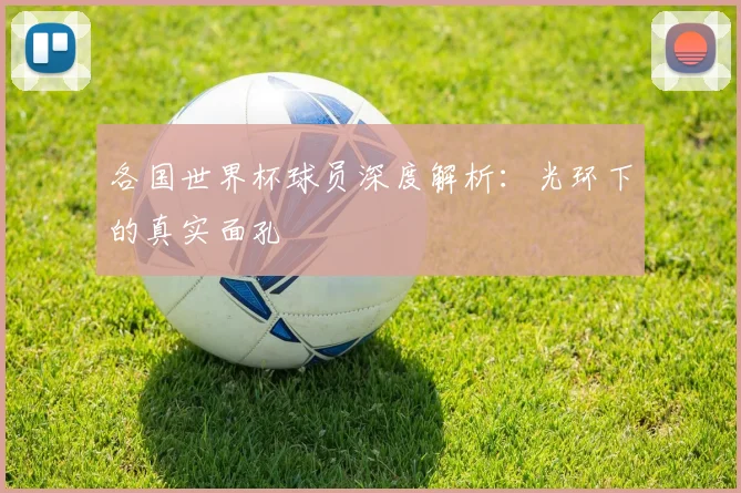 各国世界杯球员深度解析：光环下的真实面孔