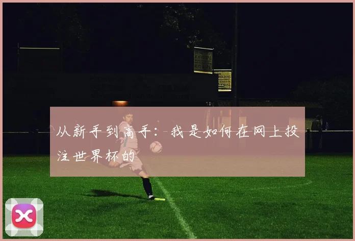 从新手到高手:我是如何在网上投注世界杯的