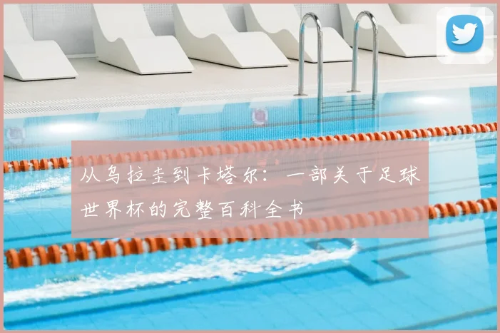 从乌拉圭到卡塔尔:一部关于足球世界杯的完整百科全书